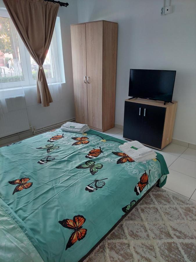 דבה Apartament Octav מראה חיצוני תמונה